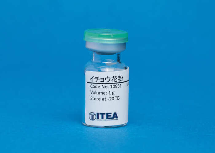 【5-GB-4G】イチョウ花粉(4 g)
